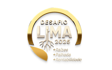 Desafio Lima 2025
